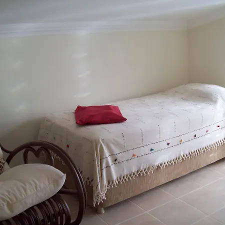 Aegean Cost Luxury 4-Bed Duplex Or Affordable Villa Didim